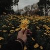 abigail_0916